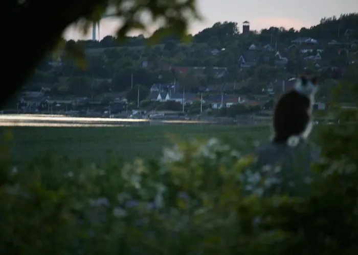 Nord Pa Rodkaergard Сasa de vacaciones *